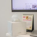 라온퓨어 | 집들이선물추천 퓨어피스 친환경 미니각티슈 실사용 후기! 만족스러워😇