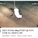 재경호 이미지