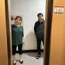 종학농장2 | 240327-240422 올해도 열심히 살고있는 일상 기록 뇨꾸의 봄🌸