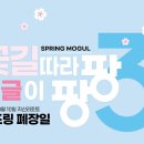 [동영상] 2024 지산리조트 스프링 모글 시즌 마감과 하이원리조트 스프링 모글 3월 12일 시작 안내. 이미지