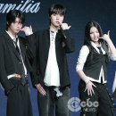 라파밀리아 이미지