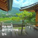 백화가든 | 울산 언양 카페 한옥뷰가 멋진 농도 후기 방문팁 메뉴 추천