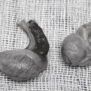 판교 P&P 동물병원 이미지