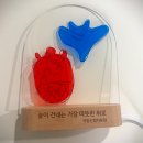 영주매점 | 임신 31주차 [국립산림치유원 영주 숲태교 후기] 숙소·식사·체험까지 가성비 좋은 국내 태교여행