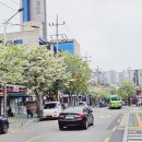 북가좌제2동 주민센터 이미지