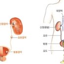신성건강원 - 군산시 신성1길 19 | 신성건강원