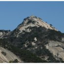 화랑대역 1번출구 버스정류장 이미지