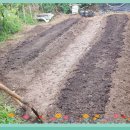 동부농약사 이미지