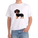 허쉬퍼피 이미지