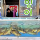 용산강횟집 이미지