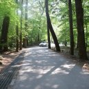 용흥사진입로 이미지