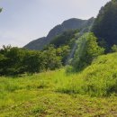 춘천대지부동산공인중개사사무소 Daum카페