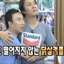 헌도피