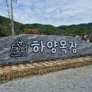 홍천 하양목장 애견동반 후기 | 강아지와 함께 가볼 만한 강원도 여행