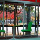 유펫 일산점 이미지