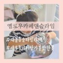 화성 새솔동 슬라임카페 옐로우카페앤슬라임 - 아이랑 촉감놀이