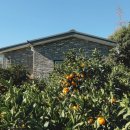 다락카페 이미지