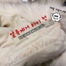 마이비 짐 | [내돈내산] 흰 옷 살려내..💧 마이비 얼룩제거제 리얼 후기 (feat. 커피, 김치 국물)