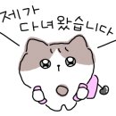 벌툰아라비아 창원상남사거리점 이미지