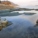 우리집수산 Daum카페