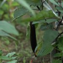 준앤준농장 이미지