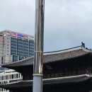 송월회포차 | 미루다가 급하게 일기(동대문 둥지포차 / 컴포트랩 에르고핏 벌룬 나시)