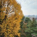 G6191 | 10월 마지막 주~11월 초 일상 (학교 생활, 근로, 친구들과 놀기, 교수님께 전화 받기 etc.)