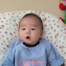 채니농장 이미지