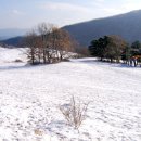 광일목장 이미지