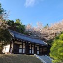 왕인박사유적지 월악루 이미지