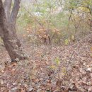 알프스산장모텔 이미지