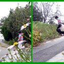 잎소아청소년과의원 이미지