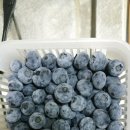 순곤농장 이미지