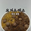 요거프레소 완주봉동점 이미지