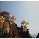 대우네민박 이미지