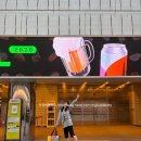 (주)볼드인터내셔널코리아 | 2026 KIBEX 대한민국맥주박람회 드링크서울 현장구매 만족후기♥︎