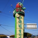 수곡면 딸기조형물 이미지