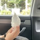주야대게 이미지
