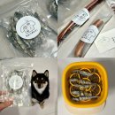 지연이네 강아지 고양이 수제간식 | 포항강아지수제간식 케이크 추천 문덕 산도리 후기