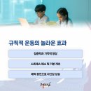 펀 태권도장 이미지