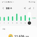 에스에이치(SH)푸드 이미지