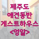 엉알펍
