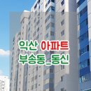 부송동신 이미지
