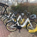 좌광천변 모전교 앞 | [부산 기장군] 마! 니 타반나 타봤나? 🚲 | 기장군 공영 자전거 “타반나” 소개 및 이용방법 안내