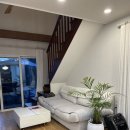 나무들의 수다 이미지