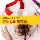 흰옷 얼룩 제거팁! 이미지