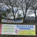 100대 명산 도전기/백운산 태화산 1일 2산 – 최단코스 등산 기록
