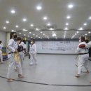 정의야 태권도장 이미지