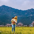 유채꽃향기처럼 이미지