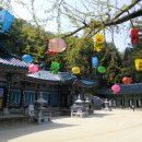 참좋은건강원 이미지